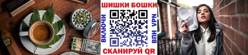 Canna-Cookies марихуана  Новый Уренгой 