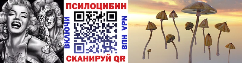закладка  Новый Уренгой  мега ссылка  Галлюциногенные грибы GOLDEN TEACHER 